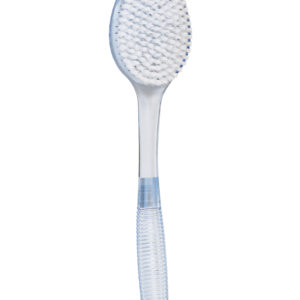 Brosse ovale