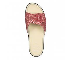 Sandales Scholl Mango